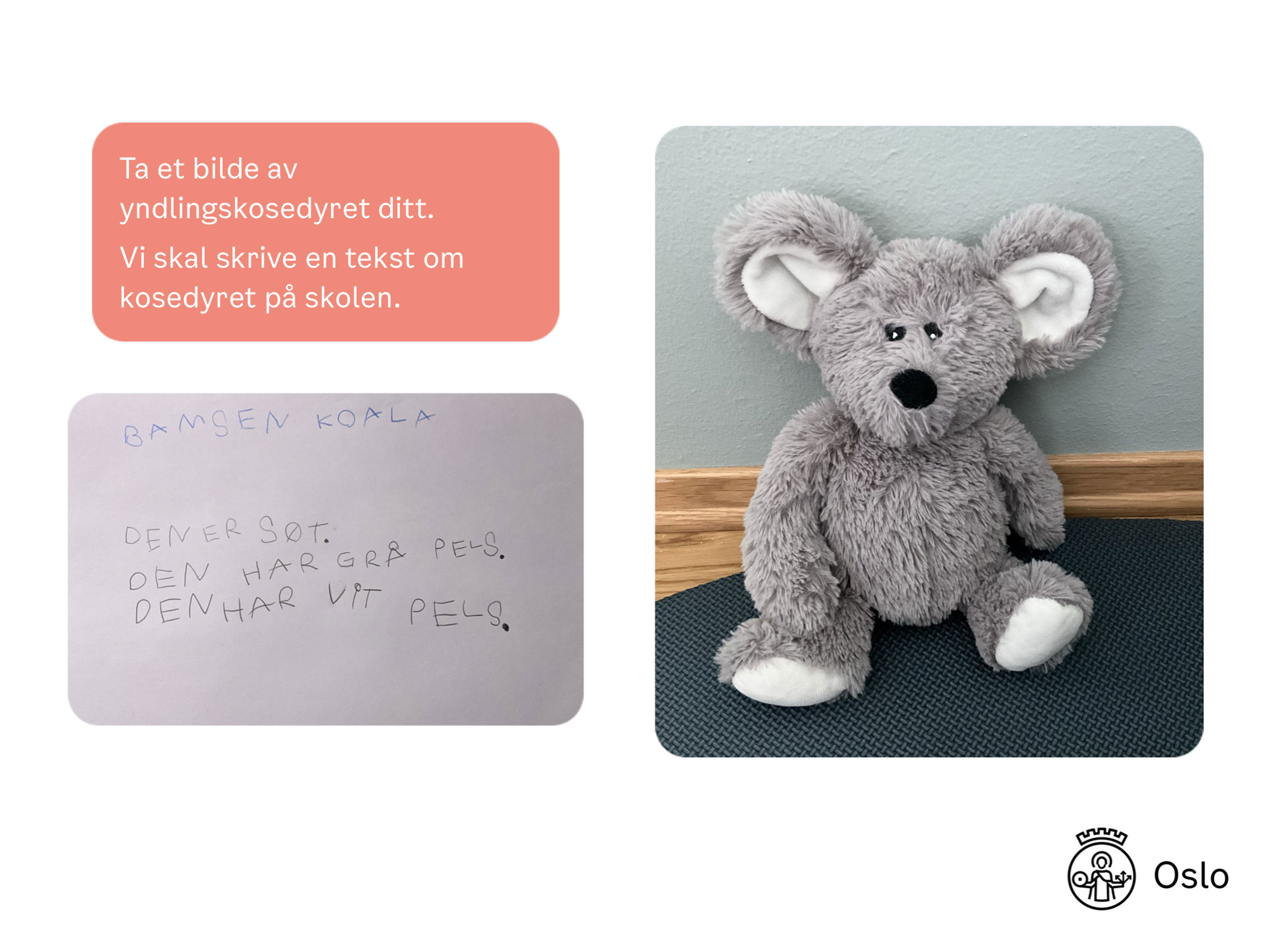 Et eksempel på en lekse der elevene skal ta bilde av kosedyret sitt